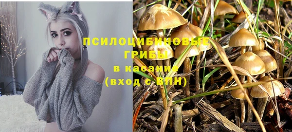 spice Алексин