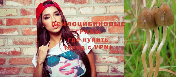 круглые Алзамай