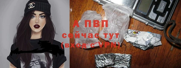 spice Алексин
