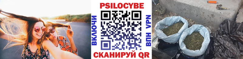 хочу наркоту  Микунь  Галлюциногенные грибы Psilocybe 